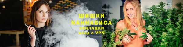 шишки Балахна